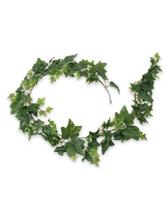 Hedera guirlande kunst hangplant 180cm - groen/bont - thumbnail