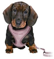 Trixie junior puppytuig soft met riem lila - thumbnail