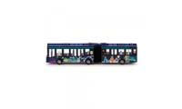 Siku harmonicabus - thumbnail