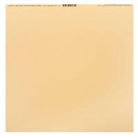 Bazzill • speckle cardstock 30,5x30,5cm travertine - thumbnail