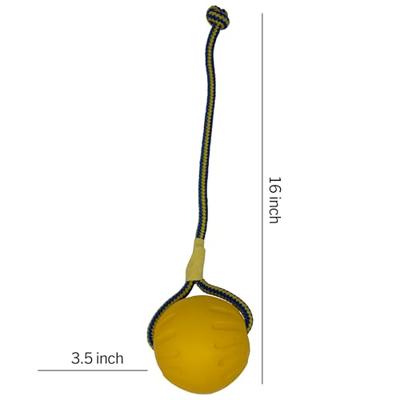 Starmark swing &apos;n fling durafoam fetch bal aan koord