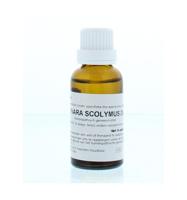 Cynara scolymus D6 - thumbnail