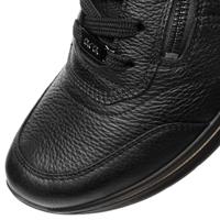 Ara 1224808 - alle - thumbnail