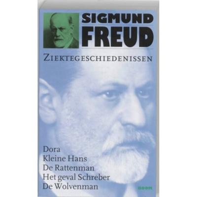 Ziektegeschiedenissen (Paperback)