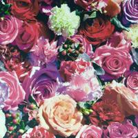 Dutch Wallcoverings J97010 - thumbnail