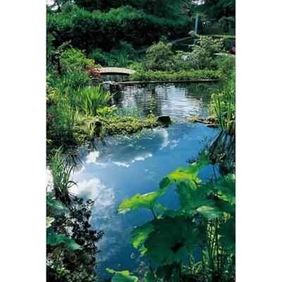 Ubbink vijverfiltermateriaal lava vulkanisch gesteente 16-32 mm 10 l