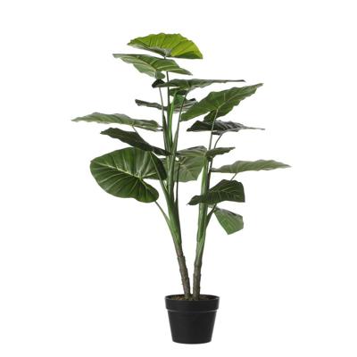 Kunstplant Taro in pot d70h100cm groen