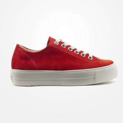 Paul Green 4790 - alle