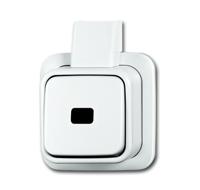 Pulsdrukker opbouw wit enkelpolig 2621 APJW BJ - thumbnail