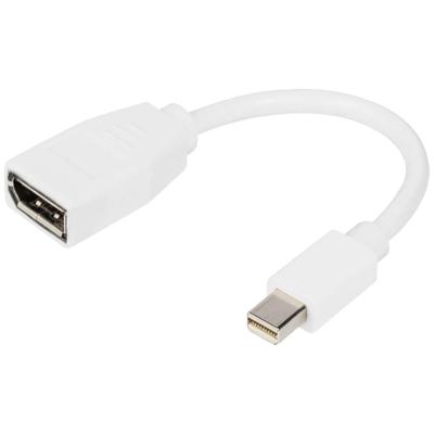 Digitus DB-340405-001-W DisplayPort-kabel Adapter DisplayPort-stekker, Mini DisplayPort-stekker 0.15 m Wit Digitus DB-340405-001-W DisplayPort-kabel Adapter DisplayPort-stekker, Mini DisplayPort-stekker 0.15 m Wit