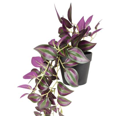 Tradescantia Zebrina kunsthanger 40cm