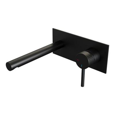 BRAUER Stripe Inbouw Wastafelmengkraan - rechte uitloop en afdekplaat model A1 - mat zwart 5-S-330