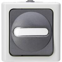 Kopp 560756009 BlueElectric Compleet Kruisschakelaar spatwaterdicht Grijs 1 stuks 1 stuk(s) - thumbnail