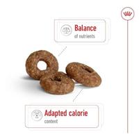 Hondenvoer SHN Mini Ageing 12 jaar, 800 gr Royal Canin - thumbnail