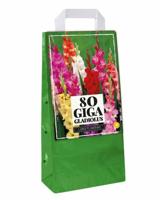 JUB Tas 80 Gladiolus mix - thumbnail