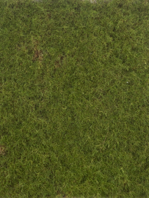 Moss mat green 50x50 cm kunstbloem Nova Nature - Nova nature Moss mat green 50x50 cm kunstbloem Nova Nature - Nova nature