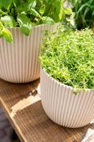 Capi 'made with' groove bol bloempot 28x27 cm zaagsel beige - thumbnail