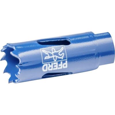 PFERD TOOLS LS 19 19 mm 3/4 25100119 Gatenzaag 19 mm 1 stuk(s) PFERD TOOLS LS 19 19 mm 3/4 25100119 Gatenzaag 19 mm 1 stuk(s)
