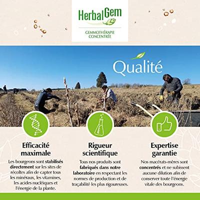 Herbalgem Optigem Cplx 30ml