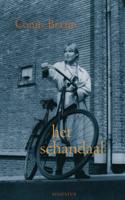 Het schandaal - Conny Braam - eBook (9789045702254) - thumbnail