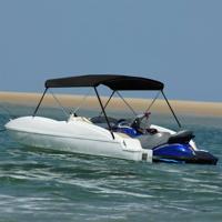 VidaXL Biminitop 2 bogen 150x120x110 cm zwart - thumbnail
