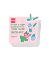 HEMA Kweek je eigen aardbeien-mojito kruiden - thumbnail