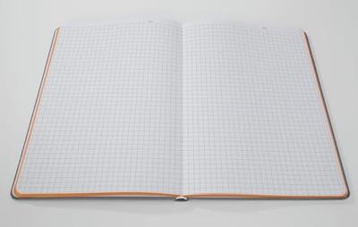 Sigel LS200 Notitieboek Linescape Hardcover DIN A5 Geruit Lichtgrijs, Neon-oranje Aantal paginas: 88