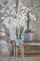 Bloempotstandaard Mica Decorations Ascot Bloempotstandaard Hout 48 x 33 x 33 cm - thumbnail