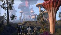 The Elder Scrolls Online: Morrowind - thumbnail