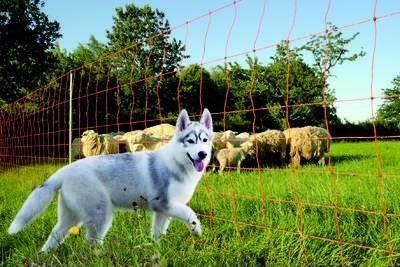 Euro-Netz Wolf Jumbo 120 cm dubbelpunt