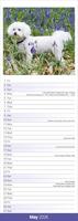 Bichon Frise Kalender 2026 Slimline - thumbnail