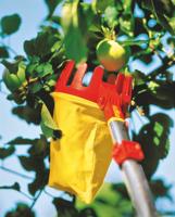 WOLF-Garten multi-star RG-M Fruitplukker - thumbnail