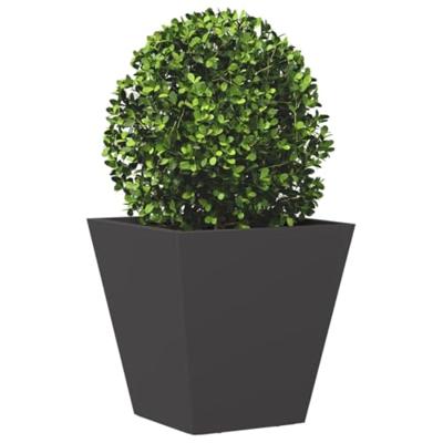 Plantenbakken 2 st 30x30x30 cm staal zwart Plantenbakken 2 st 30x30x30 cm staal zwart