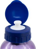 Waterfles Frozen CZ11261 530 ml Blauw Aluminium - thumbnail