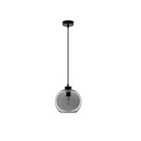 Lyora HanglampPalmer enkel zwart met smoke glas - 9241130 - thumbnail