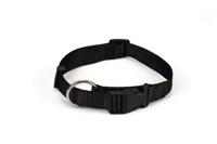 Beeztees - halsband hond - nylon - zwart - 40-65 cm x 25 mm - thumbnail