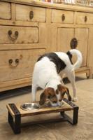 DBL HOUT DINERSET H KARINTO48X22X18 - thumbnail