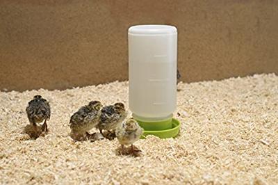 Pluimvee drinktoren 1 liter groen