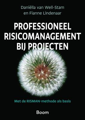 Professioneel risicomanagement bij projecten - Daniëlla van Well-Stam, Fianne Lindenaar - ebook