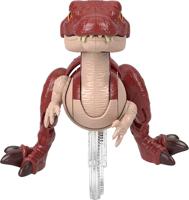 IMX JW4 SPRINT SPINO - thumbnail