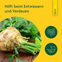 Salus Selderiesap - thumbnail