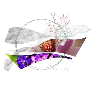 Ferragamo - Salvatore Ferragamo Oceani Di Seta Eau De Parfum Spray 100 ml Ferragamo - Salvatore Ferragamo Oceani Di Seta Eau De Parfum Spray 100 ml