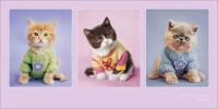 Kunstdruk Rachael Hale - Kitty Couture 100x50cm - thumbnail