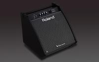 Roland PM-200 - thumbnail