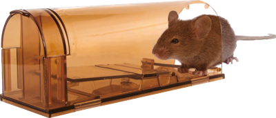 Knock Pest Muizenval Levend Knock Pest Muizenval Levend