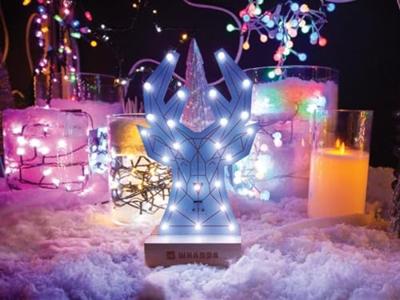 Whadda WSPXL103 LED-bouwpakket