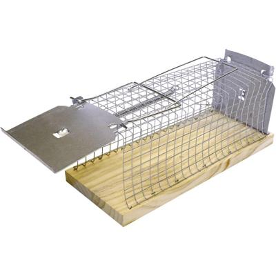 Rattenval kooi classic