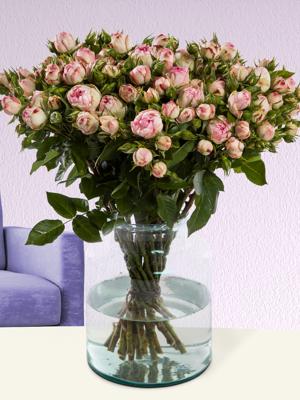 10, 20 of 30 zachtroze rozen - Sweet Revival