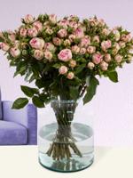 10, 20 of 30 zachtroze rozen - Sweet Revival - thumbnail