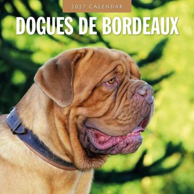 Bordeaux Dog Kalender 2027 Bordeaux Dog Kalender 2027